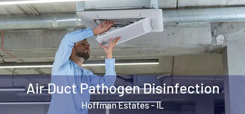 Air Duct Pathogen Disinfection Hoffman Estates - IL
