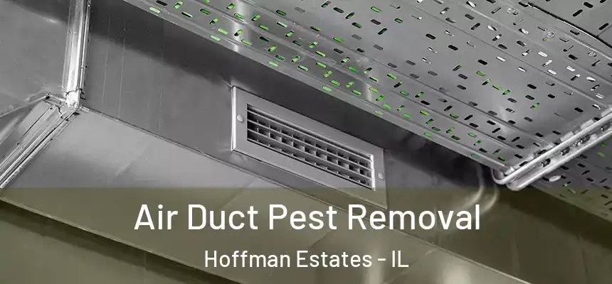  Air Duct Pest Removal Hoffman Estates - IL