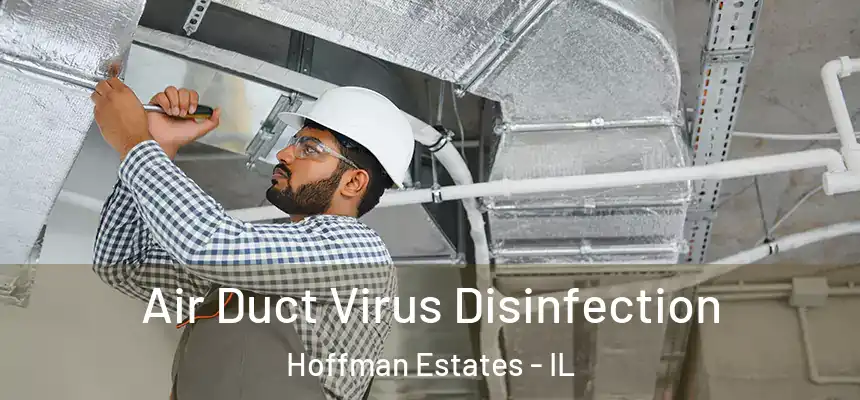 Air Duct Virus Disinfection Hoffman Estates - IL