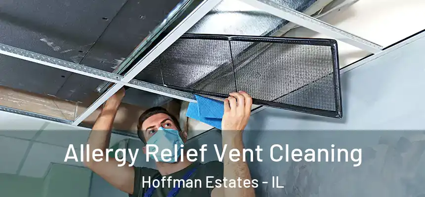  Allergy Relief Vent Cleaning Hoffman Estates - IL
