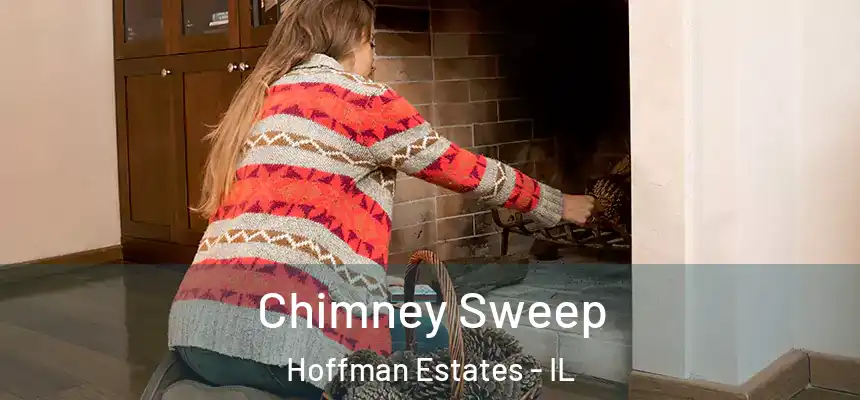 Chimney Sweep Hoffman Estates - IL