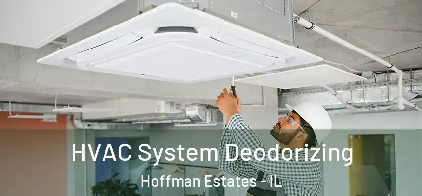  HVAC System Deodorizing Hoffman Estates - IL