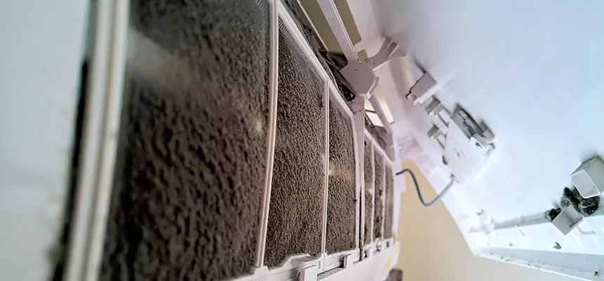 Preventive Air Duct Bacteria Removal in Hoffman Estates