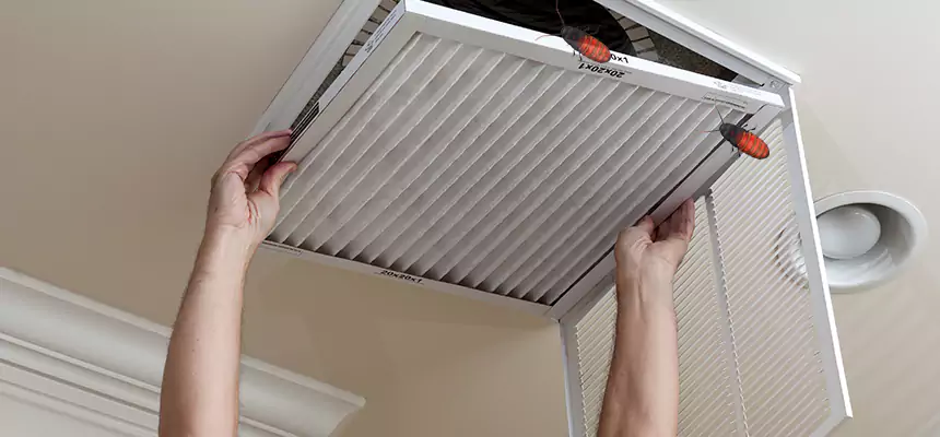 Preventive Cockroach-Proofing for Ducts in Hoffman Estates