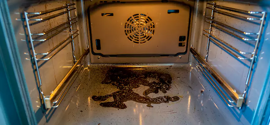 Our Dryer Vent Mold Cleaning Services in Hoffman Estates, IL