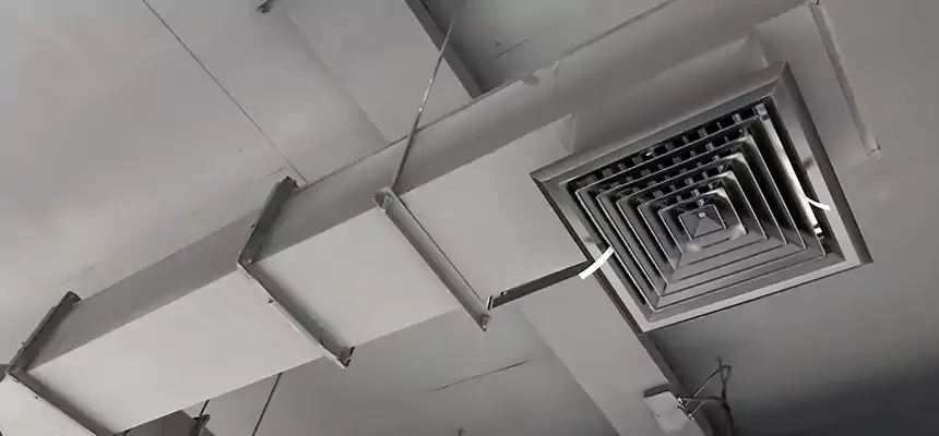 Our Rodent Droppings In Vents Services in Hoffman Estates, IL