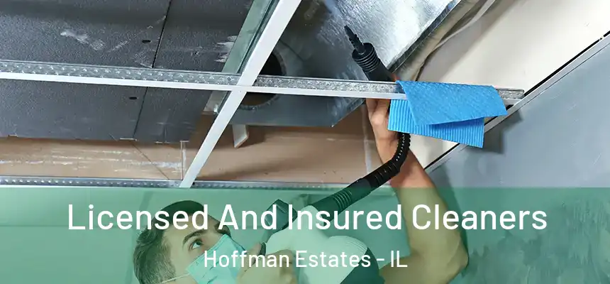  Licensed And Insured Cleaners Hoffman Estates - IL