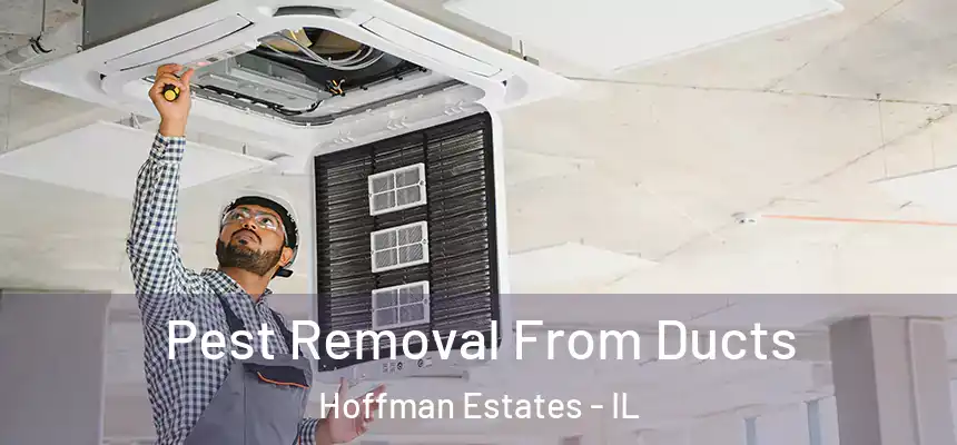  Pest Removal From Ducts Hoffman Estates - IL