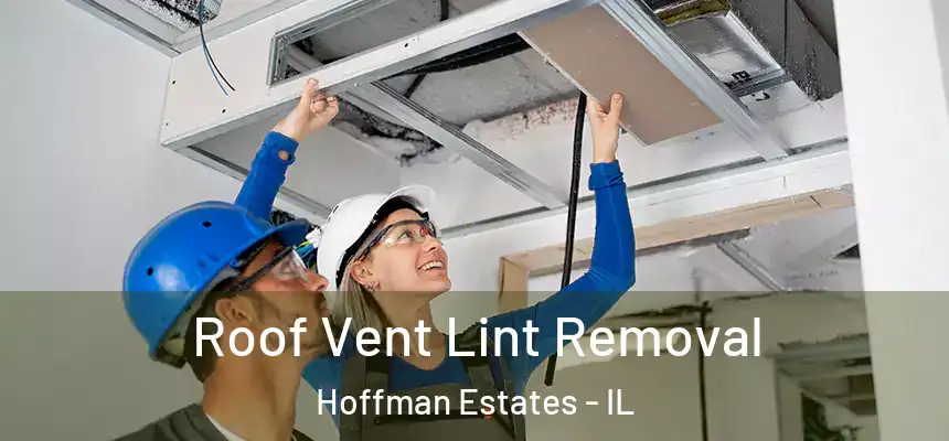  Roof Vent Lint Removal Hoffman Estates - IL