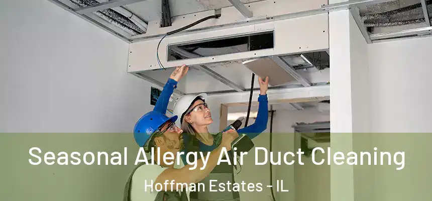 Seasonal Allergy Air Duct Cleaning Hoffman Estates - IL