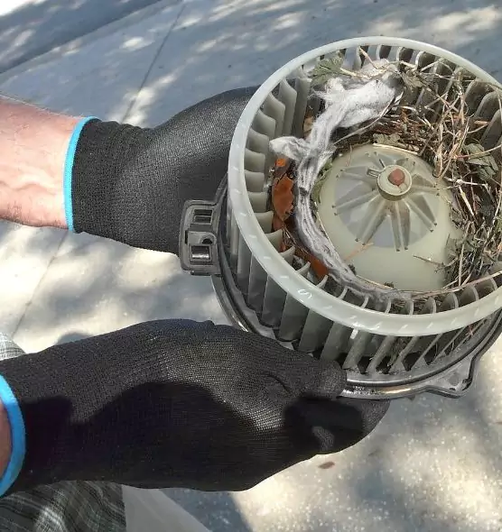 About Air Duct Mice Removal in Hoffman Estates, IL