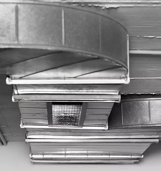 Professional Air Duct Pest Removal in Hoffman Estates, IL