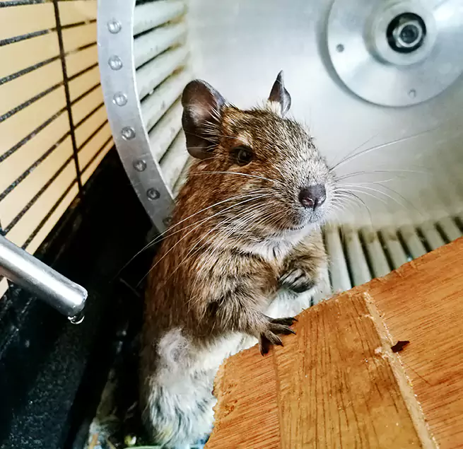 Why Homeowners & Businesses Trust Us Hoffman Estates, IL